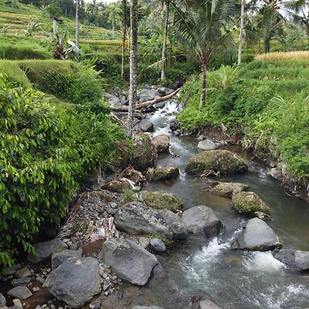 Graha Ayoe Villa Sidemen  Bagian luar foto