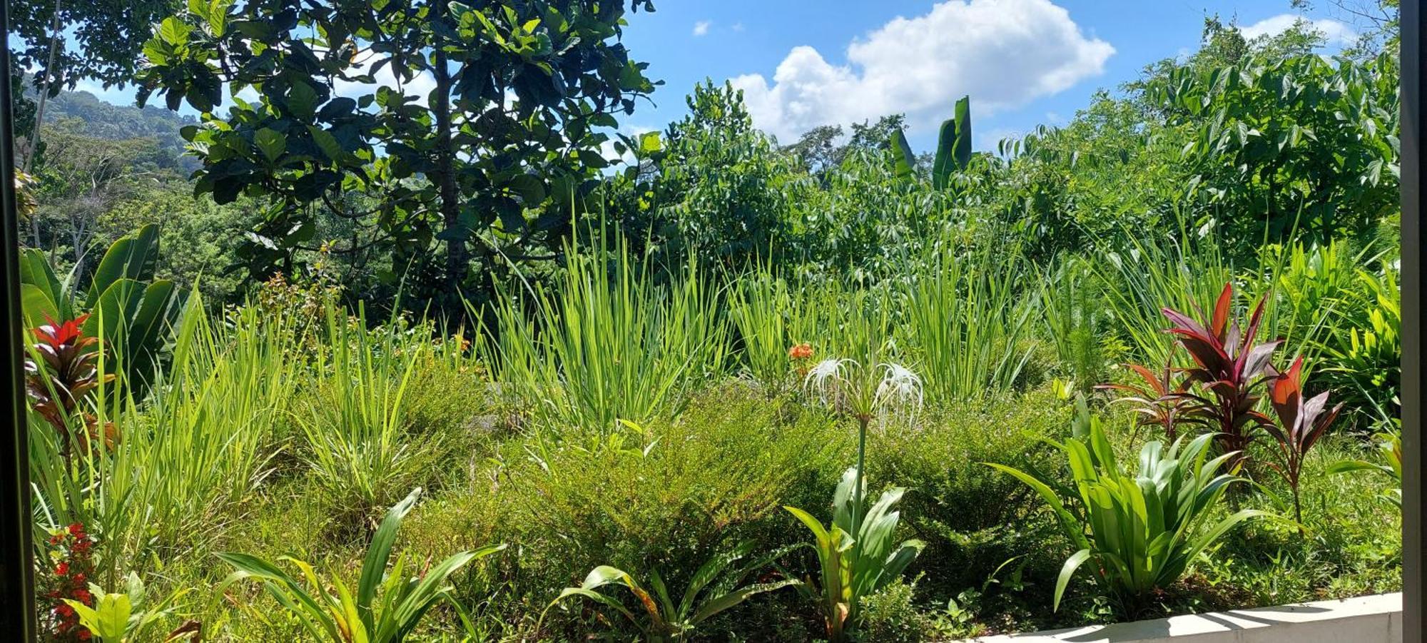 Graha Ayoe Villa Sidemen  Bagian luar foto