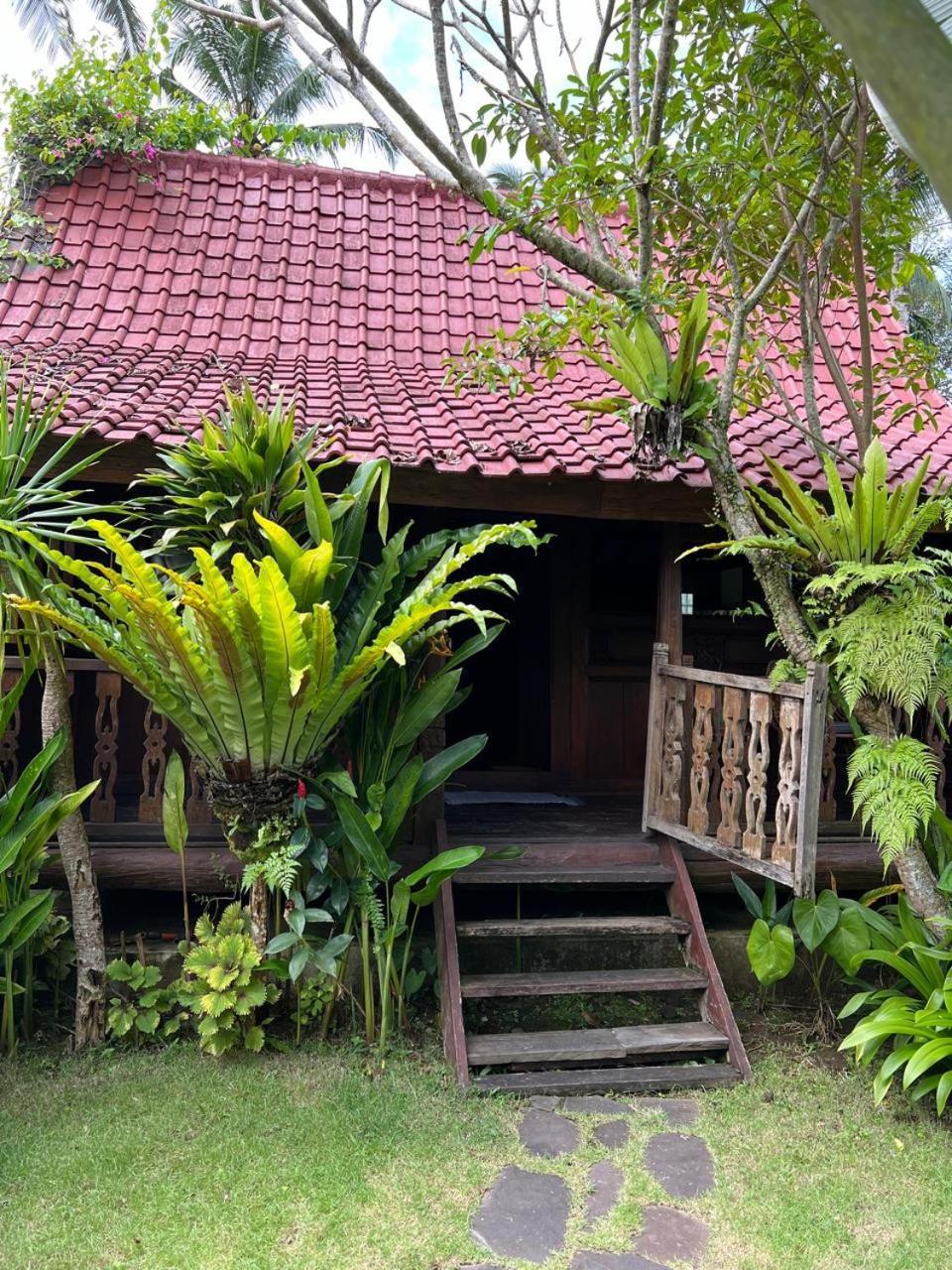 Graha Ayoe Villa Sidemen  Bagian luar foto